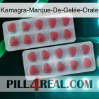 Kamagra-Marque-De-Gelée-Orale 19